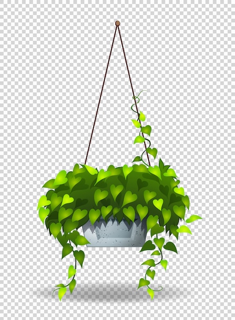 無料ベクター 鉢植えの植物が壁に掛かっています。