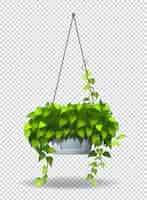 Free vector potted plant hanging on wall