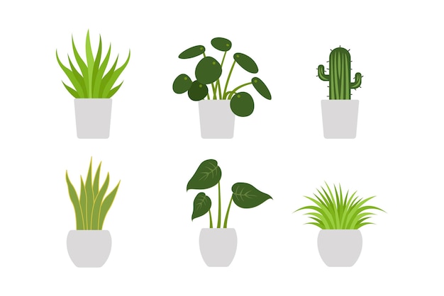 Free vector potted plants 2