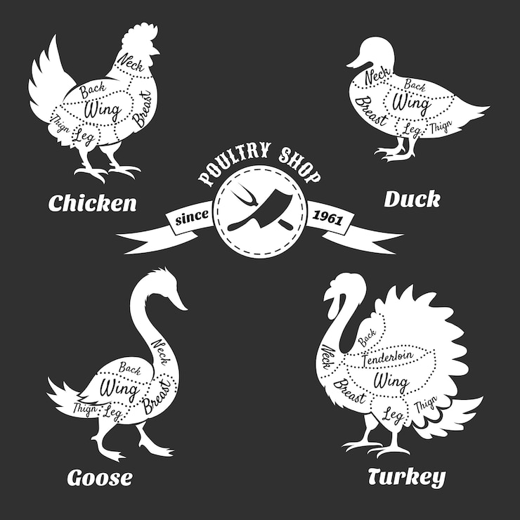Free Vector poultry cuts poster.