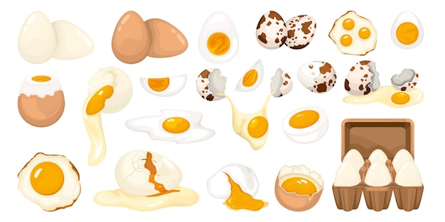 Набор куриных яиц из целого треснувшего ряда и жареных яиц из курицы и перепелов, выделенных на белом фоне векторной иллюстрации