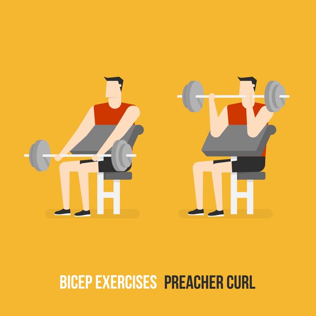 Preacher curl demostration