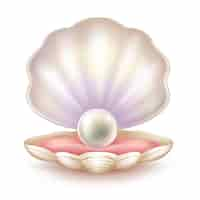 Free vector precious pearl in opened shell