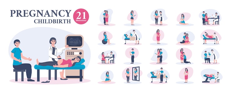 무료 Vector 임신 출산 세트