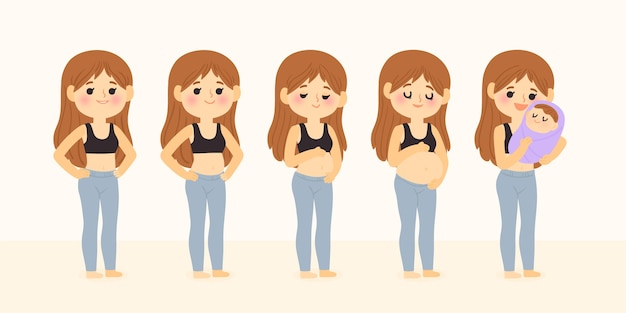 Pregnancy stages illustrated style