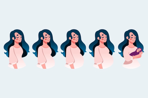 Pregnancy Stages Illustration Concept