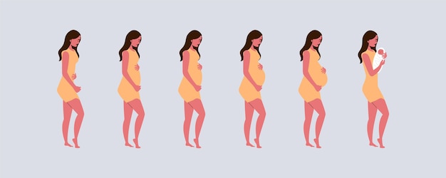 Pregnancy stages illustration concept Premium Vector