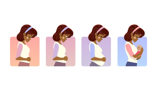Free vector pregnancy stages illustration