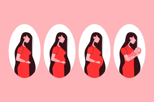 Pregnancy stages set illustrated