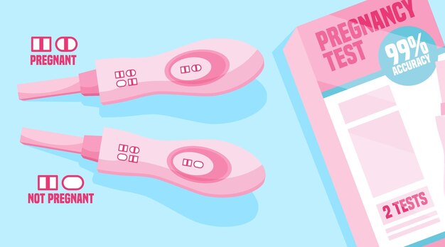 Pregnancy test illustrated