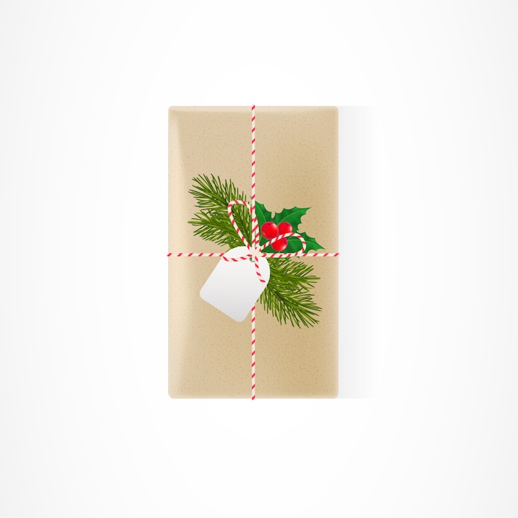 Free Vector present package illustration