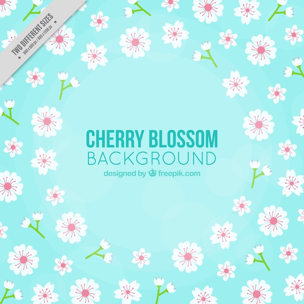 Pretty background of cherry blossoms