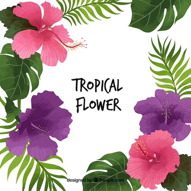 Pretty background of tropical flowers and leaves