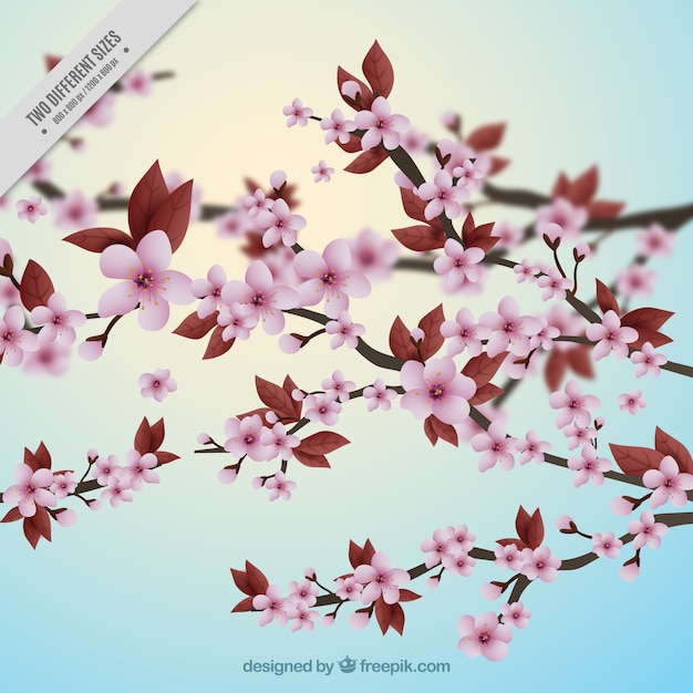 Pretty background with realistic cherry blossoms