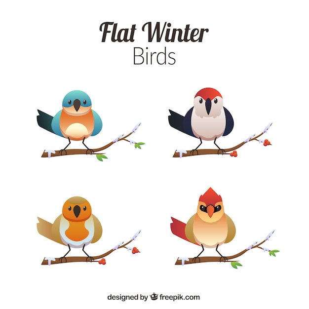 Free vector pretty birds on branches in flat design