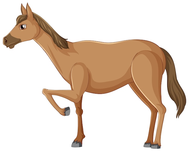 Довольно коричневая лошадь на белом фоне