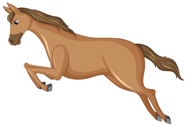 A pretty brown horse on white background