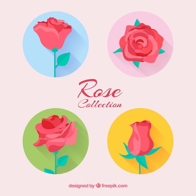 Free vector pretty collection of roses