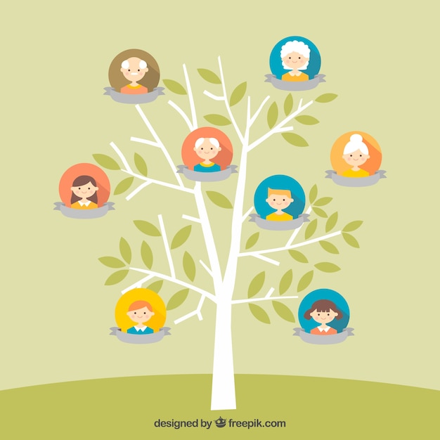 Free vector pretty family tree in flat design