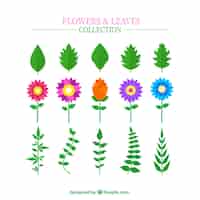 Free vector pretty flowers and leaves pack