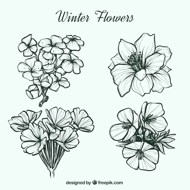 プリティ手描き冬の花