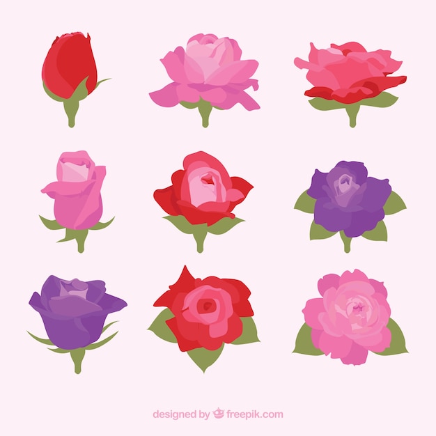 Pretty pack of decorative roses in different colors