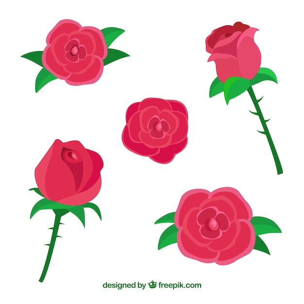 Free vector pretty pack of five roses