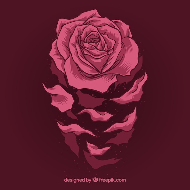 Free vector pretty rose in hand-drawn style