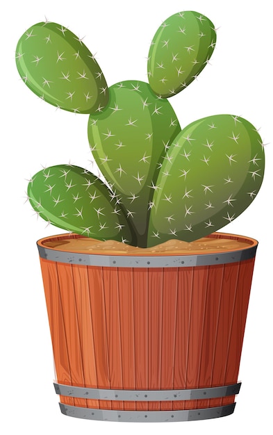 Free vector prickly pear cactus in a wooden pot on white background