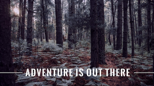 Embark on a Quest for Geological Treasures