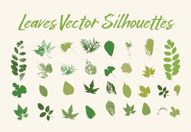 木の葉がプリントされます。植物や植物の緑