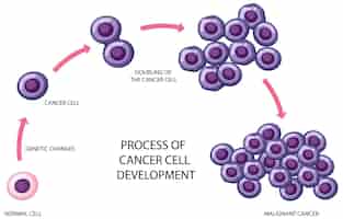 Vettore gratuito processo di sviluppo delle cellule tumorali