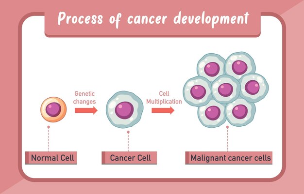 Инфографика процесса развития рака