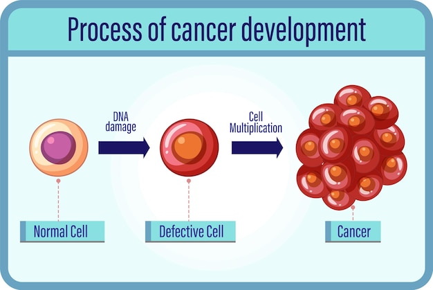 Free vector process of cancer development