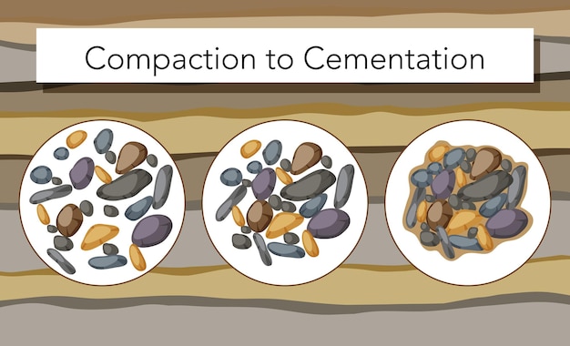 Free vector process of compaction to cementation for education