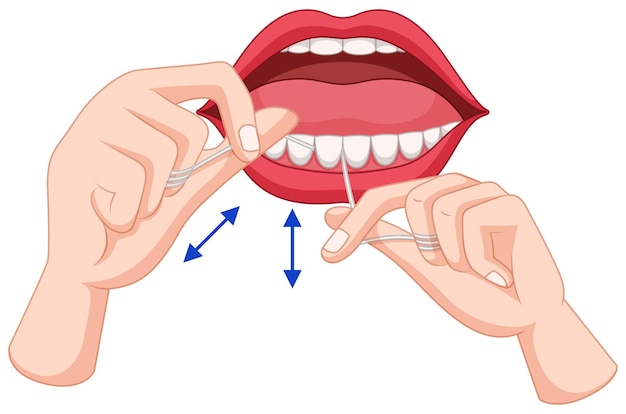 Process of flossing teeth