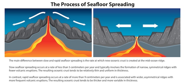 Free vector the process of seafloor spreading