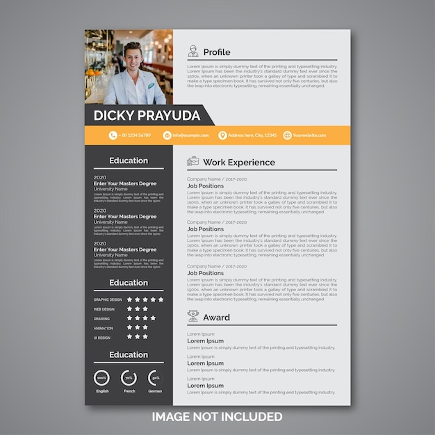 Professional curriculum vitae template