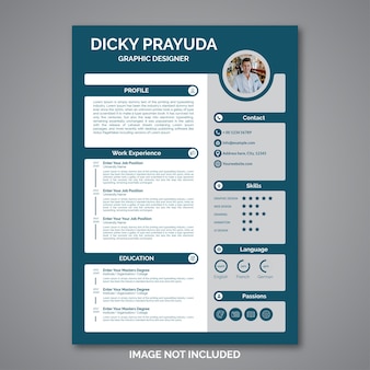 Professional curriculum vitae template