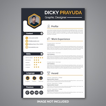 Professional curriculum vitae template