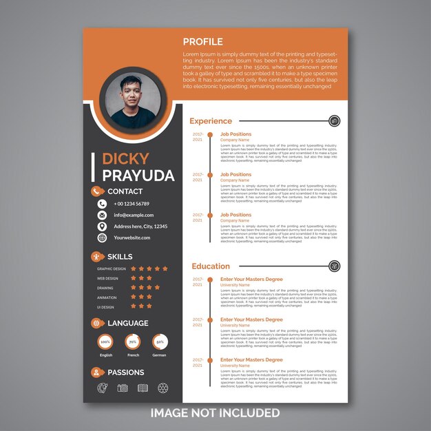 Professional curriculum vitae template