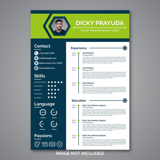 Professional curriculum vitae template