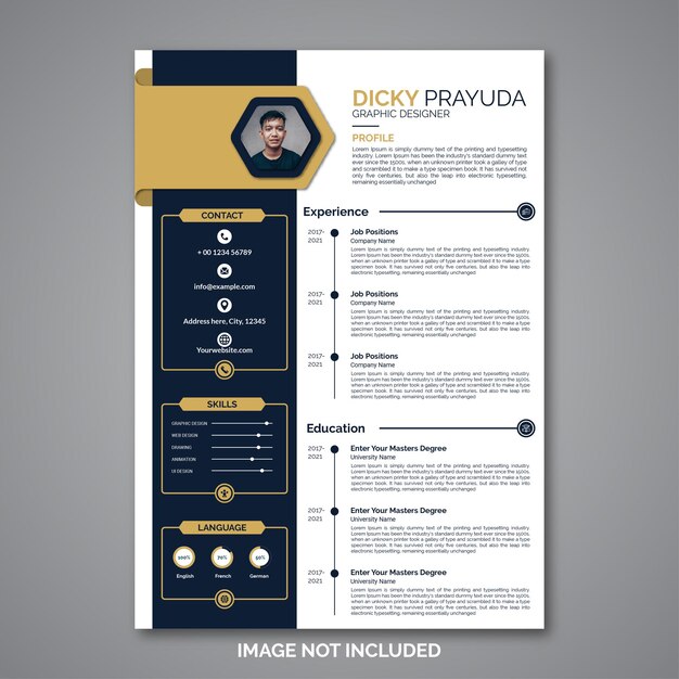 Professional curriculum vitae template