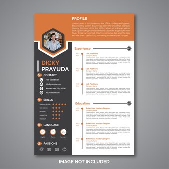 Professional curriculum vitae template