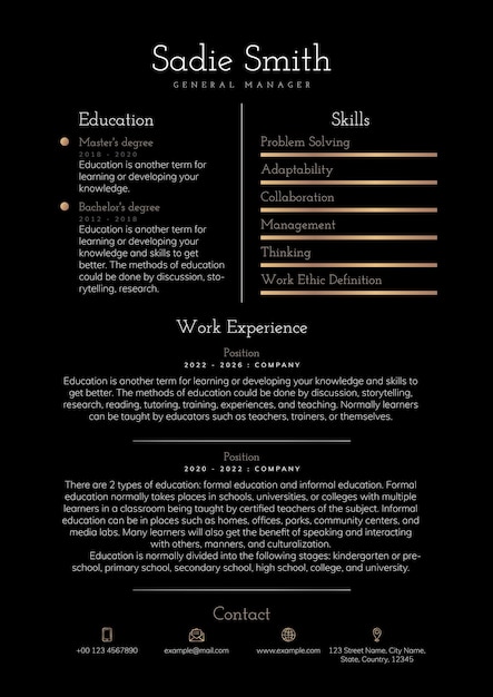 Professional CV editable template for professionals and executive level