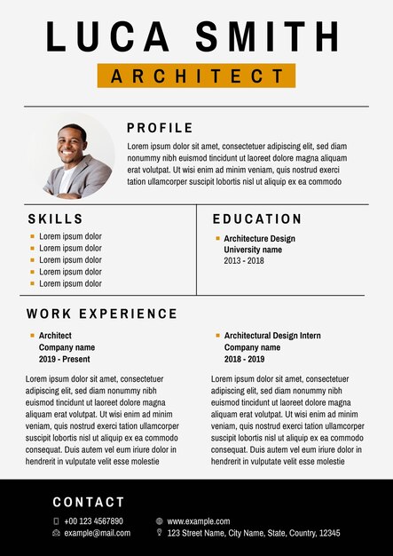 Professional CV editable template  for professionals and executive level