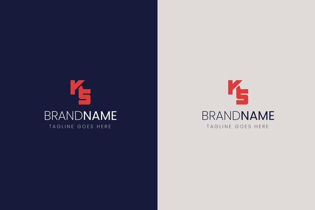 Professional ks logotype template