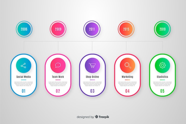 Professional timeline infographic