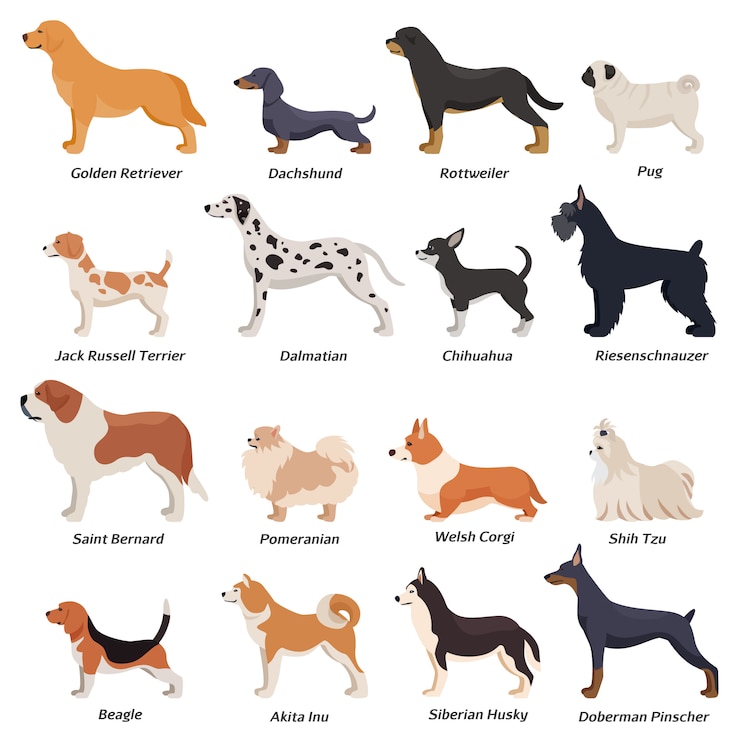 Free Vector profile dogs icon set