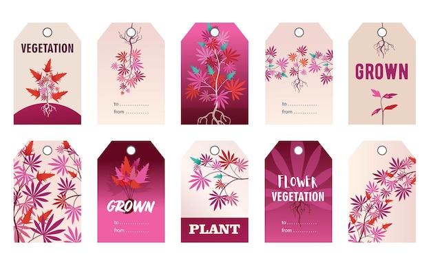 Promotional pink tag designs with hemp plant. cartoon illustration